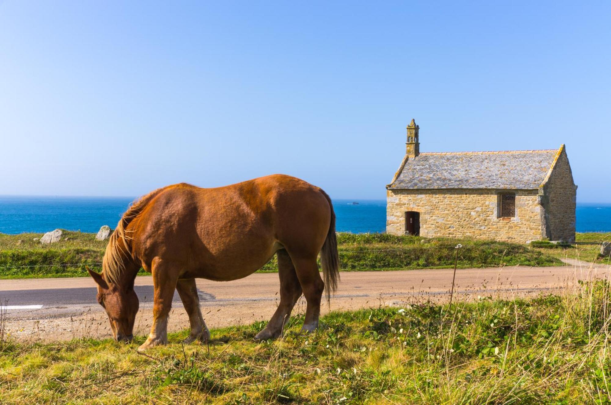 Roscaroc Enez Hir - Charmant T4 Proche Plage Ploudalmézeau Exterior foto